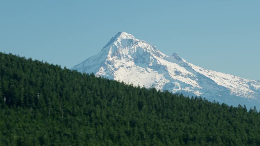 A snow capped mountain looming in the distance beyond a dense forest during the day
