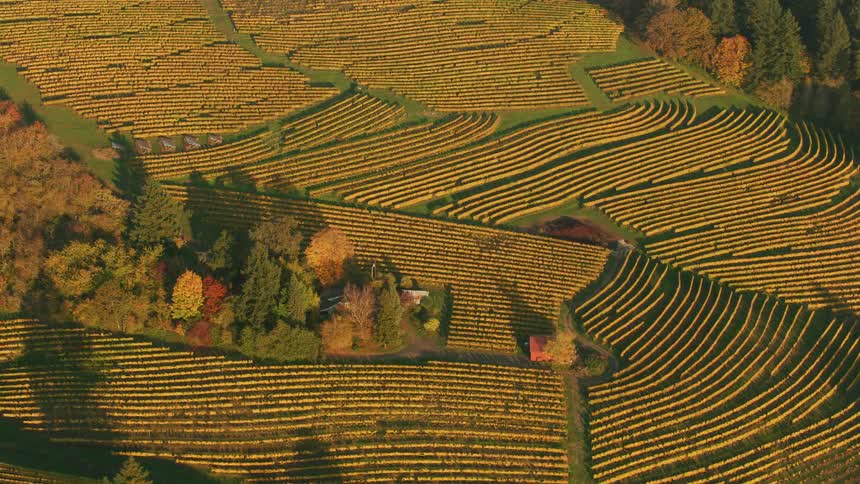 Aerial view of countryside with farmlands