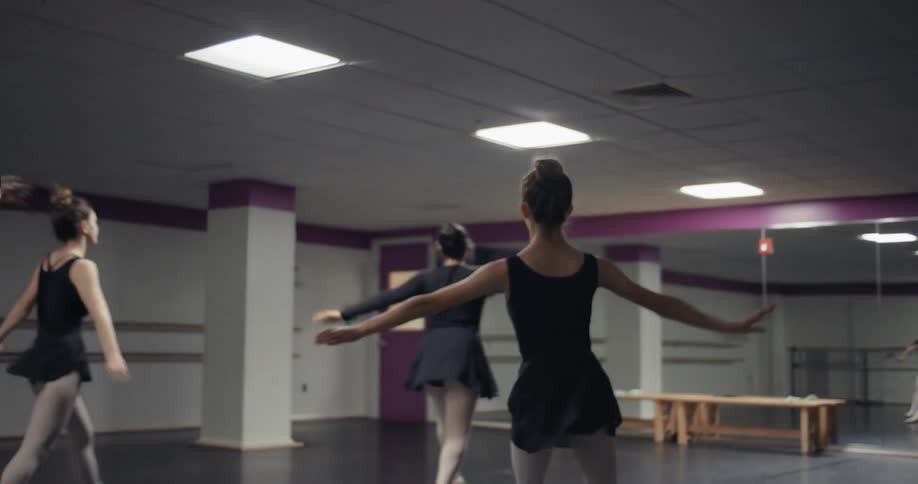 A group of young women practicing ballet in a dance studio