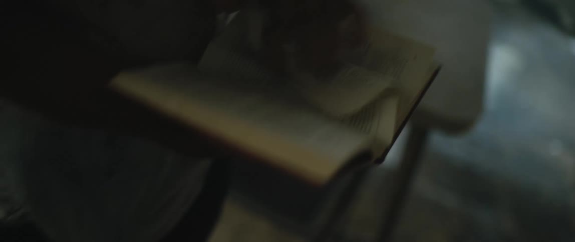 A view of a person flipping through pages in a book