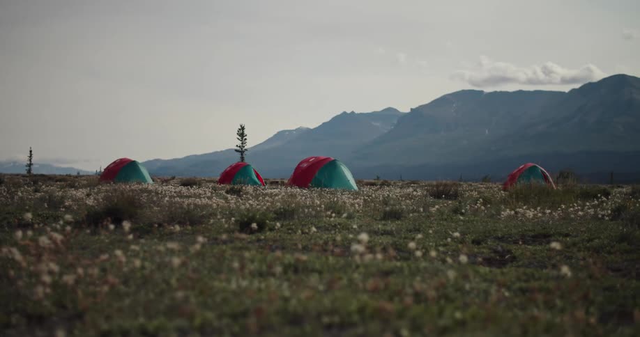 Tents sit in field among wildflowers near mist covered mountains