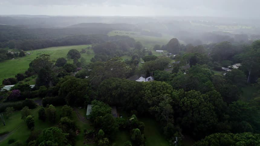 Houses on large lots sit among trees near mist covered forest