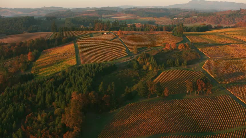 An aerial view of neatly manicured fields on a farm