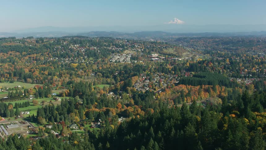 Aerial view of a small town on the gentle hills surrounded by pine tree forests