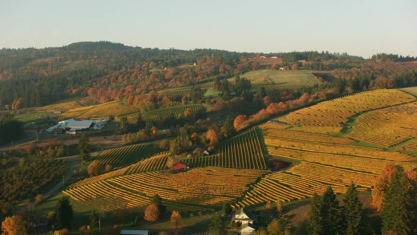An aerial view of cars driving past farms with manicured fields