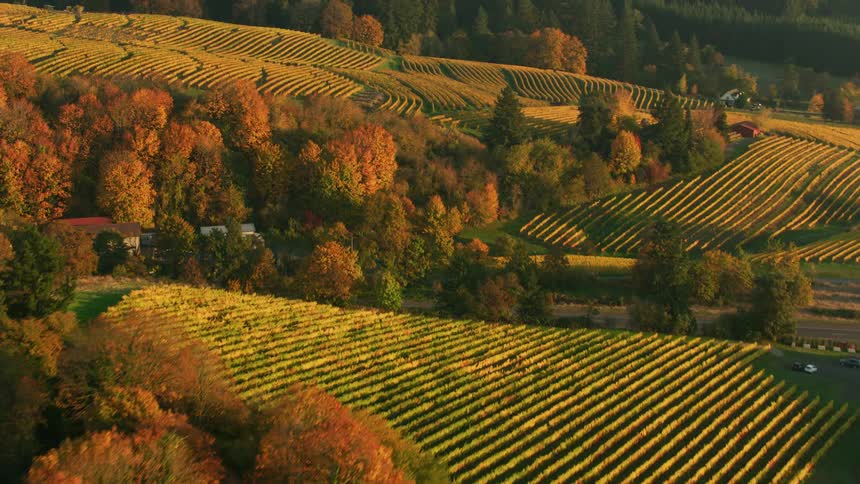 Aerial view of countryside with farmlands on hills