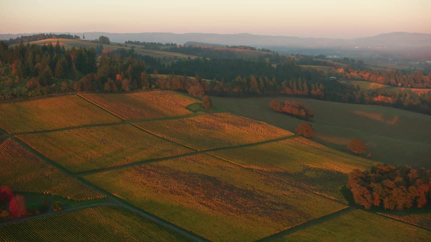 Aerial view of fields of crops and trees and mountains on the horizon
