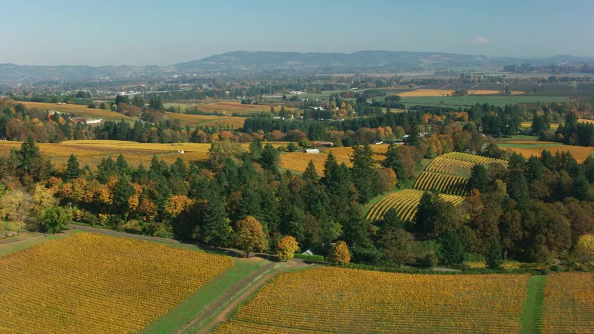 Aerial view of farm fields in a rural area