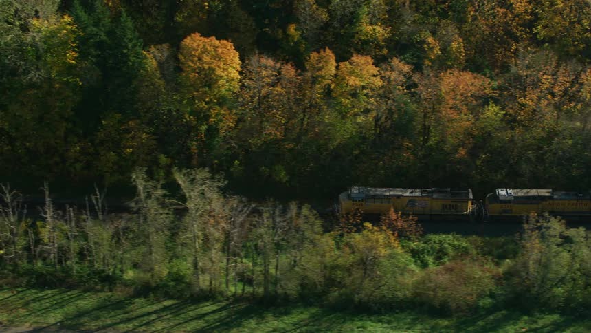 Train parallels road occupied with cars both passing trees with fall foliage