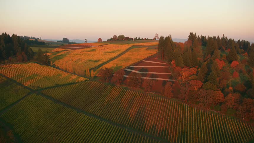 Aerial view of countryside with farmlands in hills