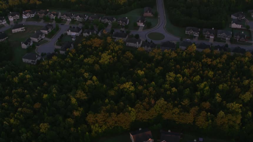 Housing neighborhood sits nestled among woods and forest