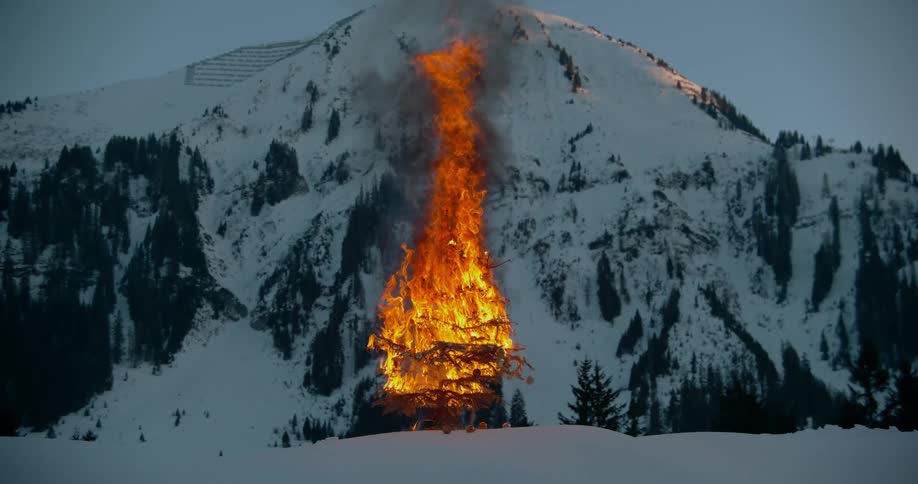 A tree is on fire next to a mountain in winter