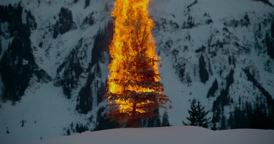 A single evergreen tree on a snow covered mountain ridge burns with bright orange flames