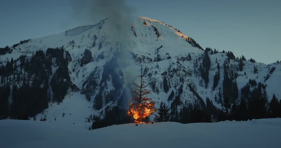 A single tree burns brightly in the snow until there are only embers left