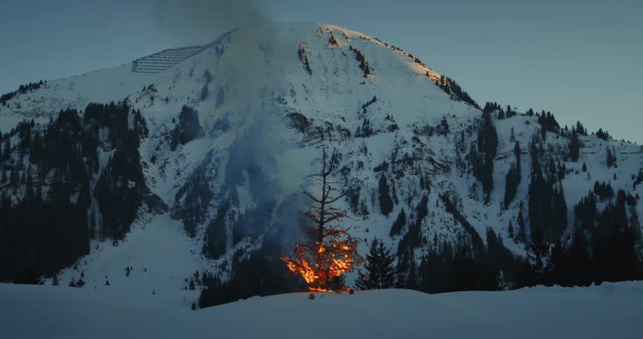 The tree is burning in front of the mountain