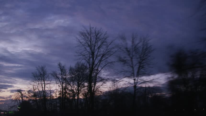 Silhouette of trees on the side of a road near a small town in the countryside at evening