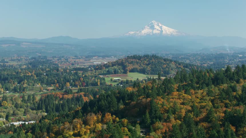 An aerial view of a forest with a road and mountain range behind it in the distance