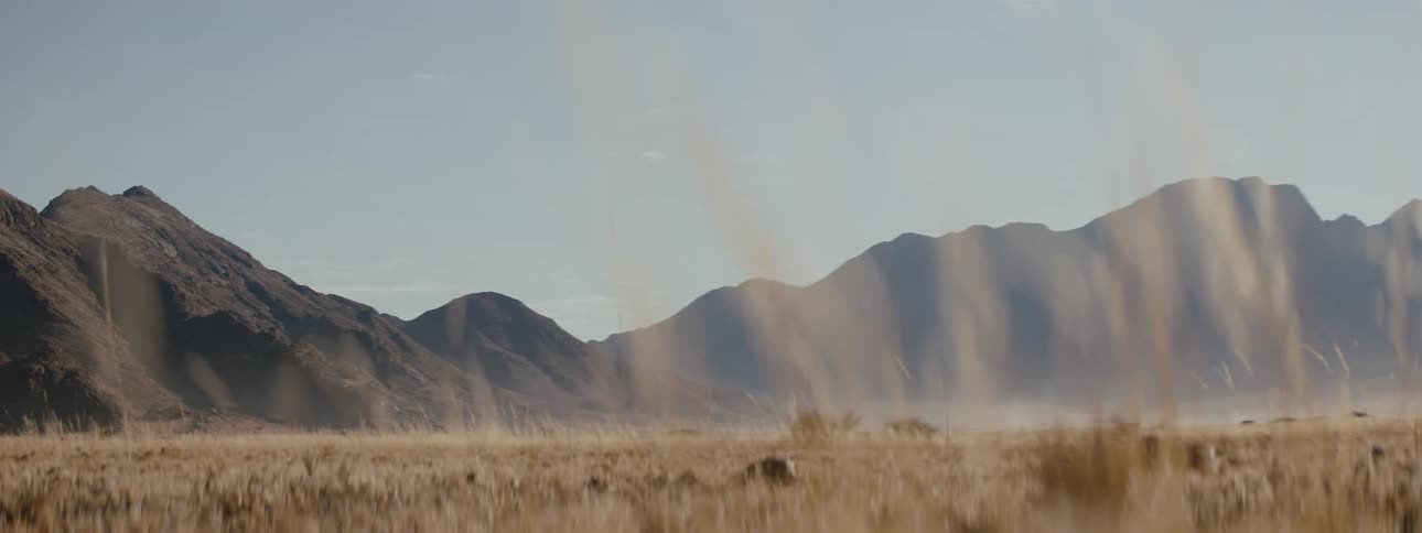 Wheat grass waves in breeze with mountains in background