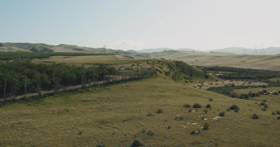 Birds flying over a landscape with trees and grassy fields and hills