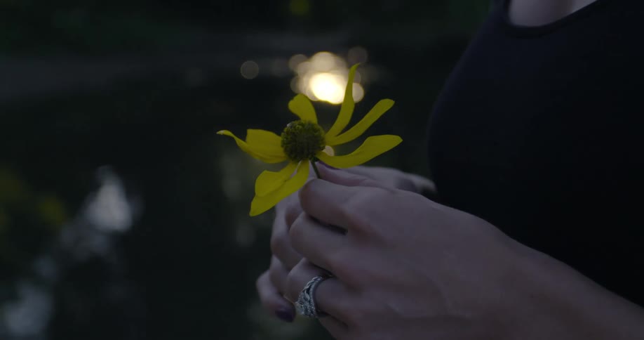 Woman holding a yellow wild flower on her hands in front of a fountain at night