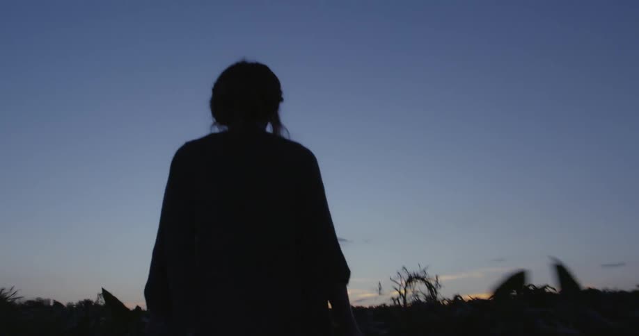 The silhouette of a woman walking through a field of tall vegetation