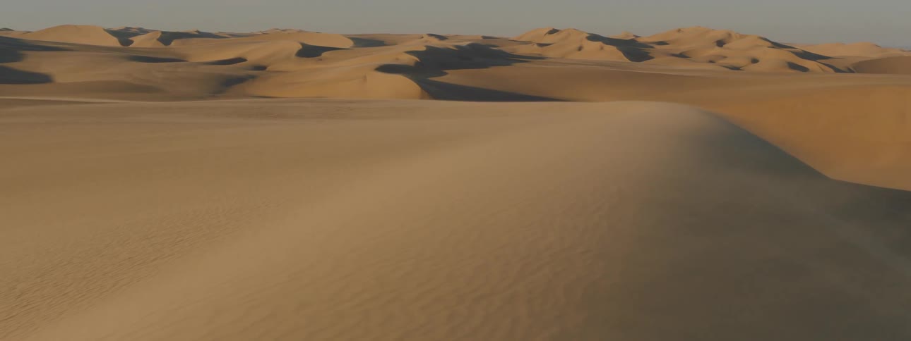 Strong winds blow sand off the surface of dunes