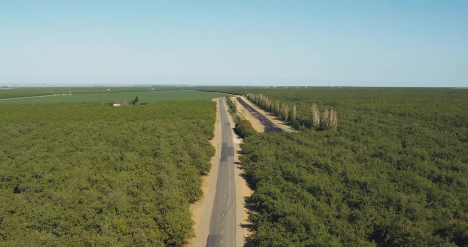Aerial view of a small road between fields of crops on a rural farmland area