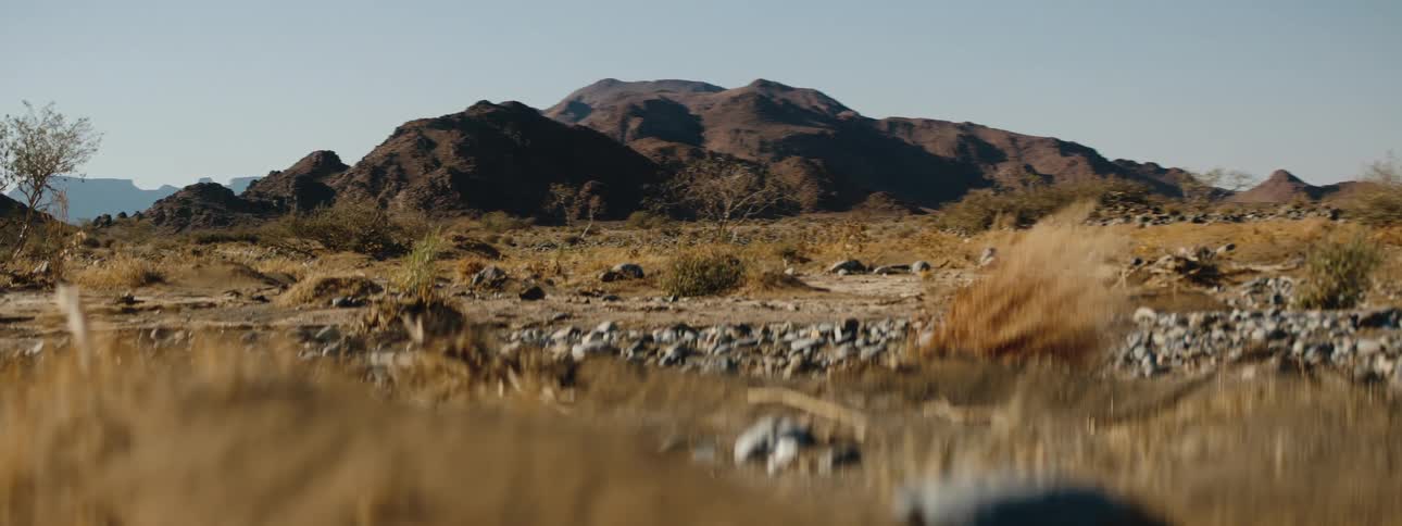 Rack focus to mountain range in the desert