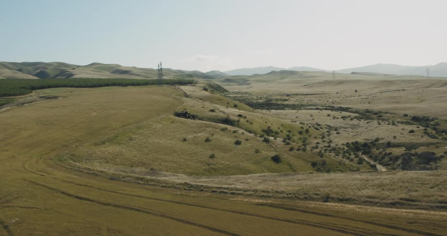 Birds flying over farm land with dirt roads and green crops