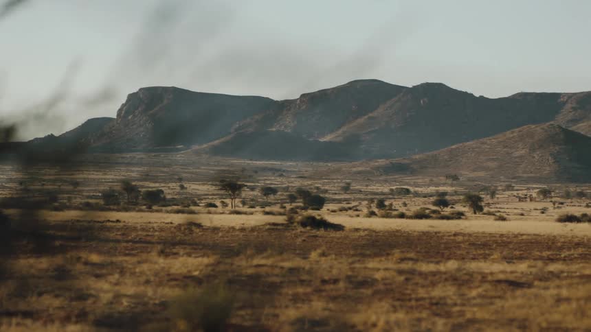 Dry vegetation on the savannah plains near the mountains at morning