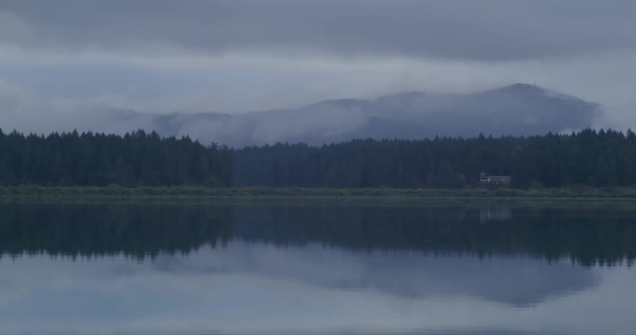 The forest reflects on the lake