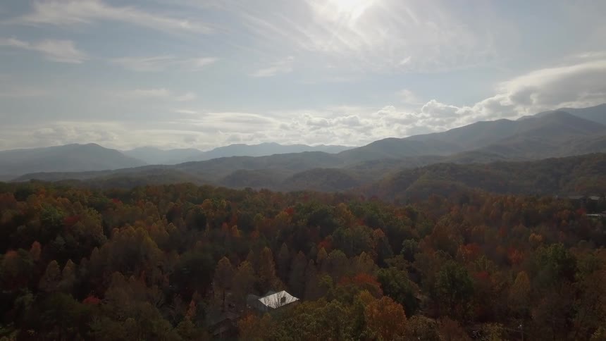 Aerial view of a large forest on a cloudy day