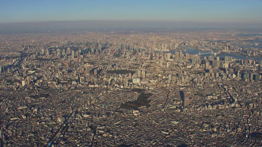 Aerial view of big city skyline with buildings houses and skyscrapers