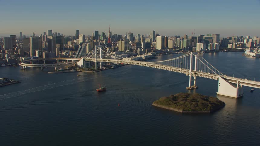 Boats sail in the sea under a bridge that leads in and out of a sprawling downtown