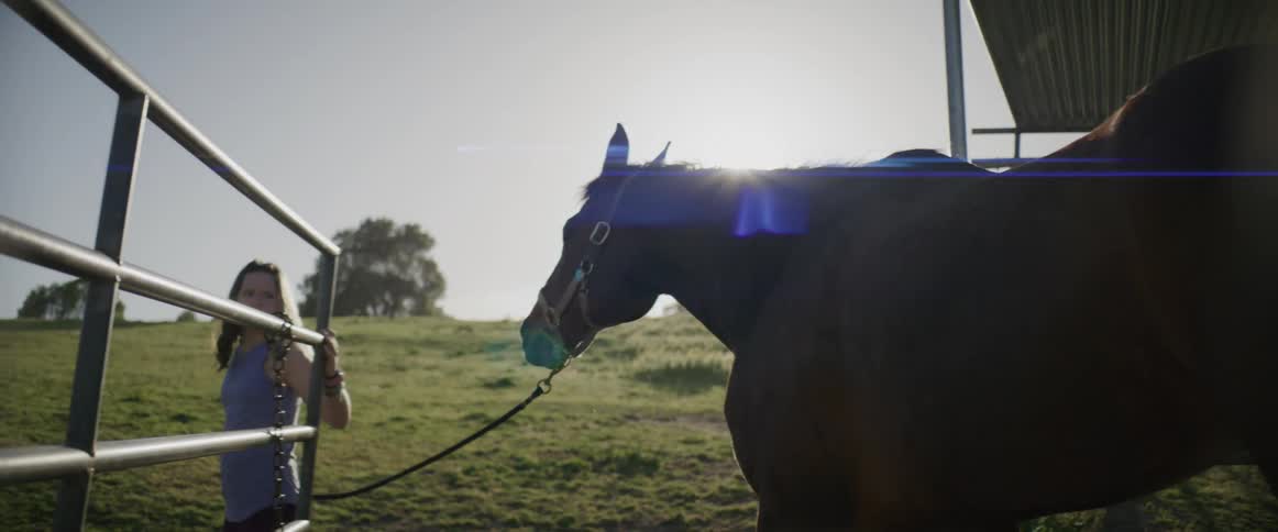 A girl takes her horse out of its stable