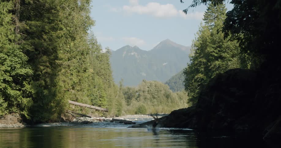 Male dives of tall shore into water with mountains visible in the background
