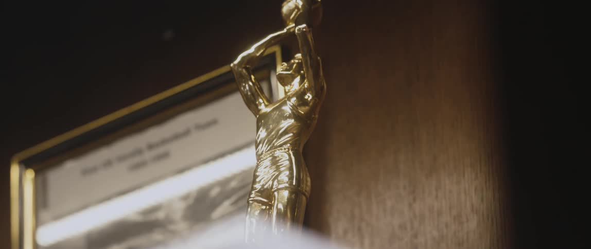A trophy is on the shelf
