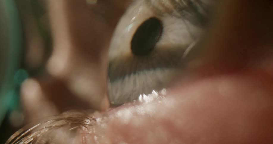 A persons eye is blinking fast