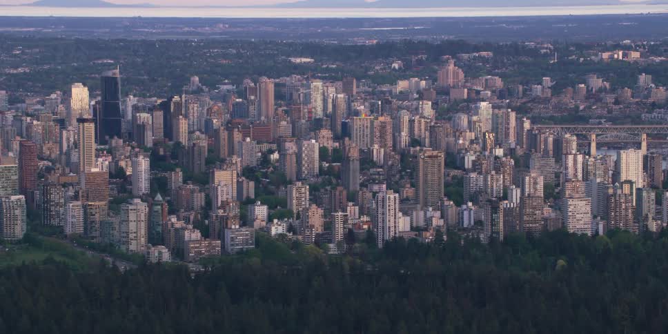 Aerial view of a downtown city near a wooded area is displayed