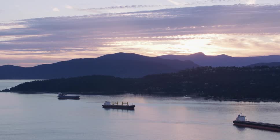Freight ships sail past the shore