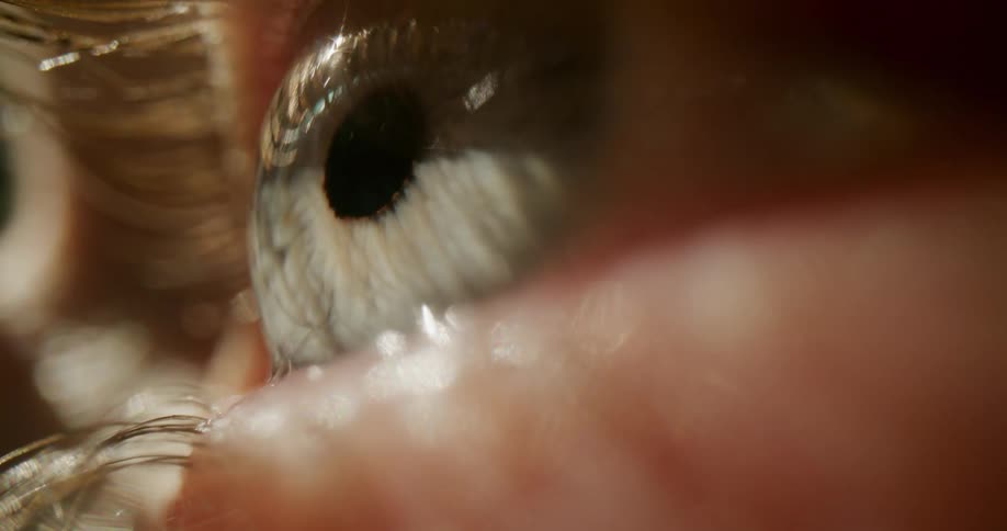 The eye blinks and looks around