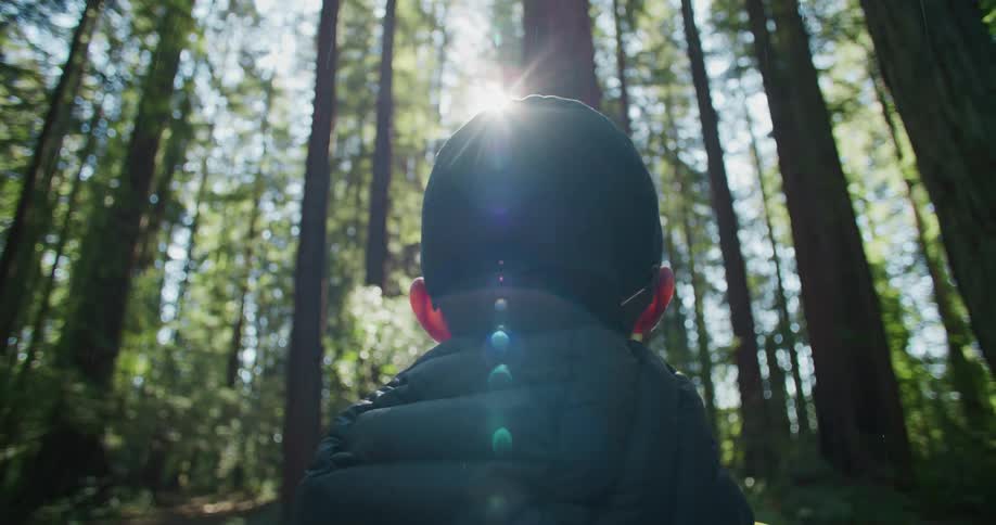 A man stands in a sunny forest as it starts to rain