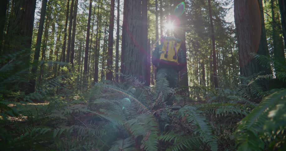 The sun shines brightly through trees in a forest as a man wearing a backpack walks among the trees