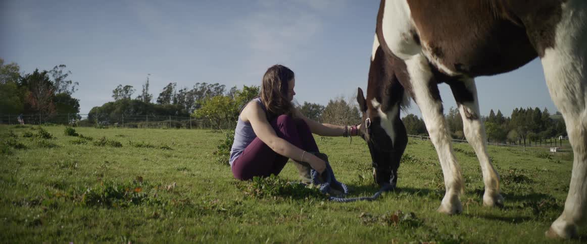 A girl sits in a grassy field and pets her horse as it grazes