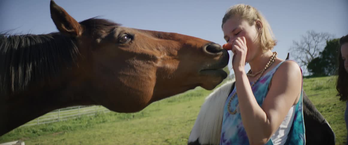 A woman feeds a carrot to a horse while outdoors in a field during the day
