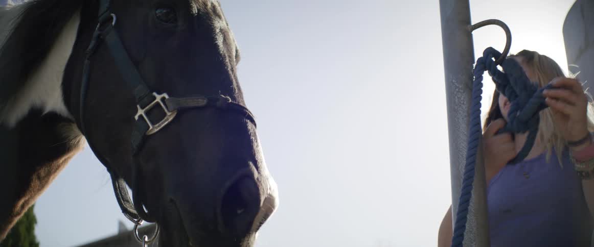 A view of two women with a horse