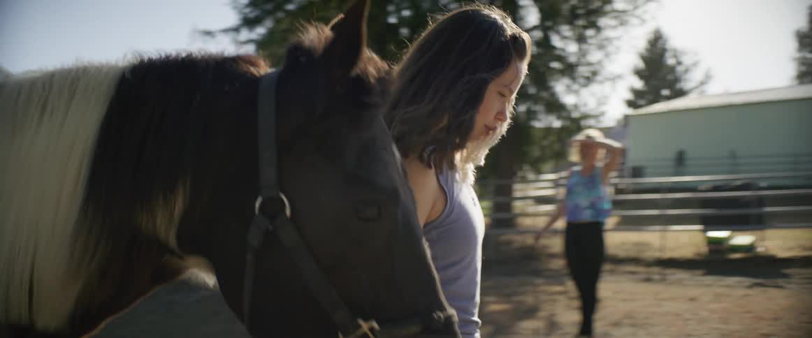 A girl looks back as she leads a horse on a walk around a paddock on a bright sunny day