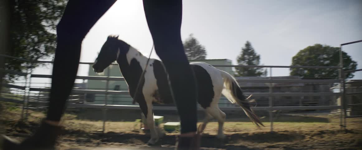 A person is walking a horse at a farm