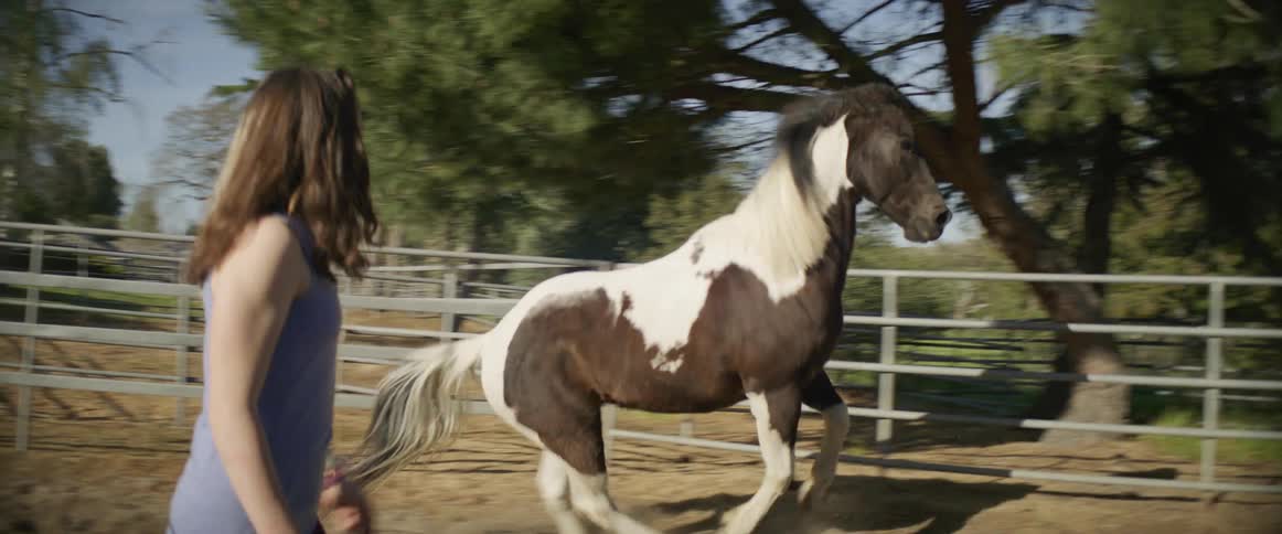 A wild horse bucks at girl on farm