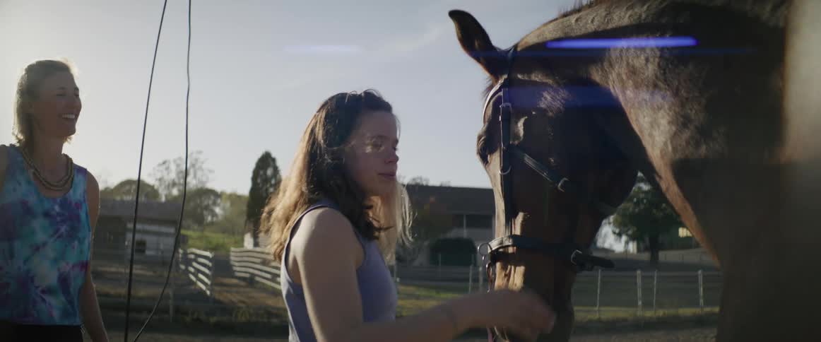 A girl pets the horse